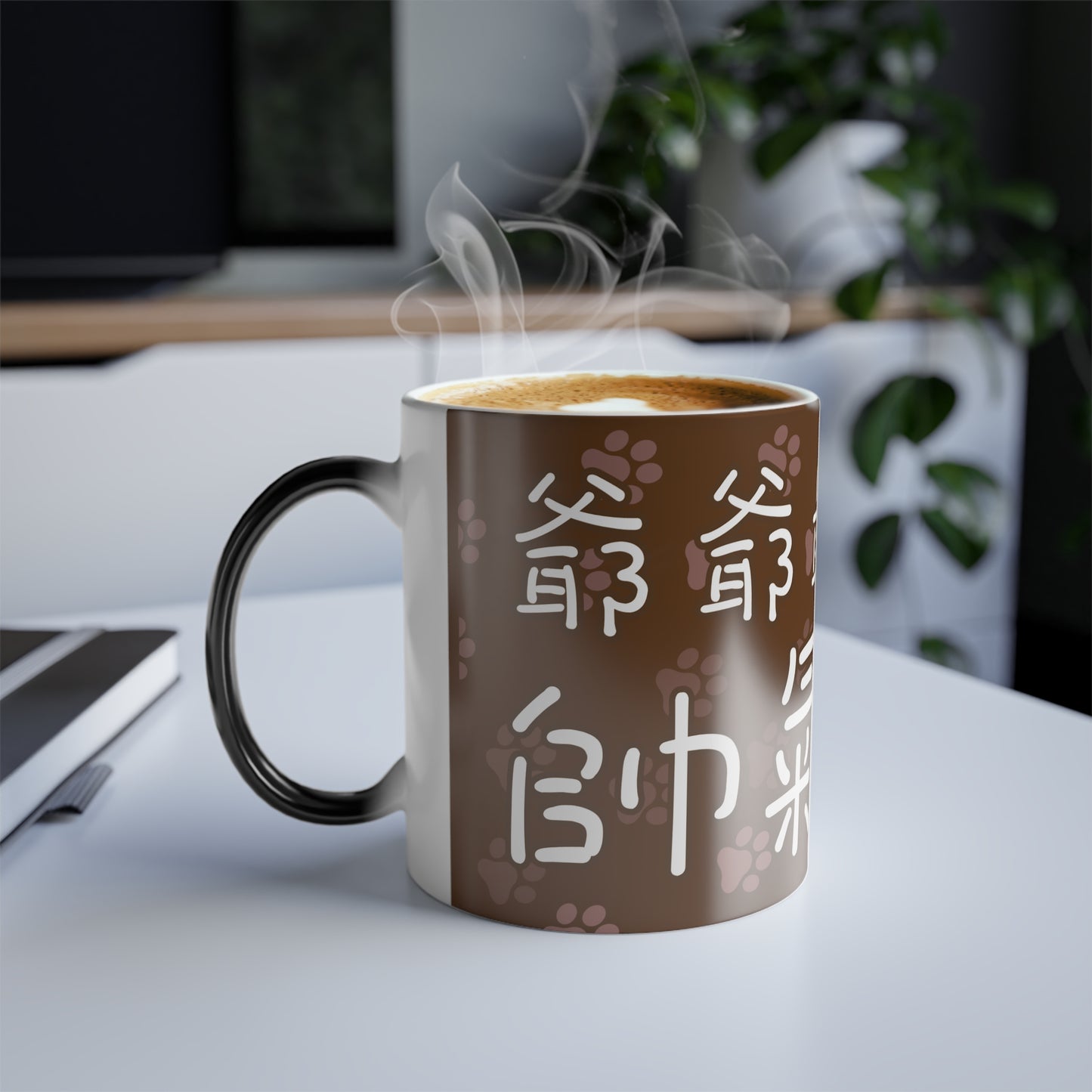 Grandpa 爺爺 is the most handsome! 11oz Color Heat Changing Mug Chinese Characters